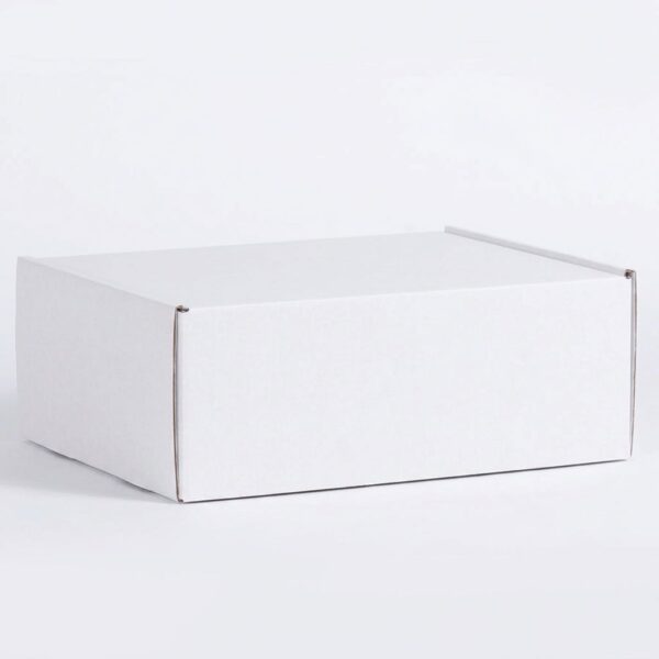 Caja autoarmable 40 x 30 x 15 cm